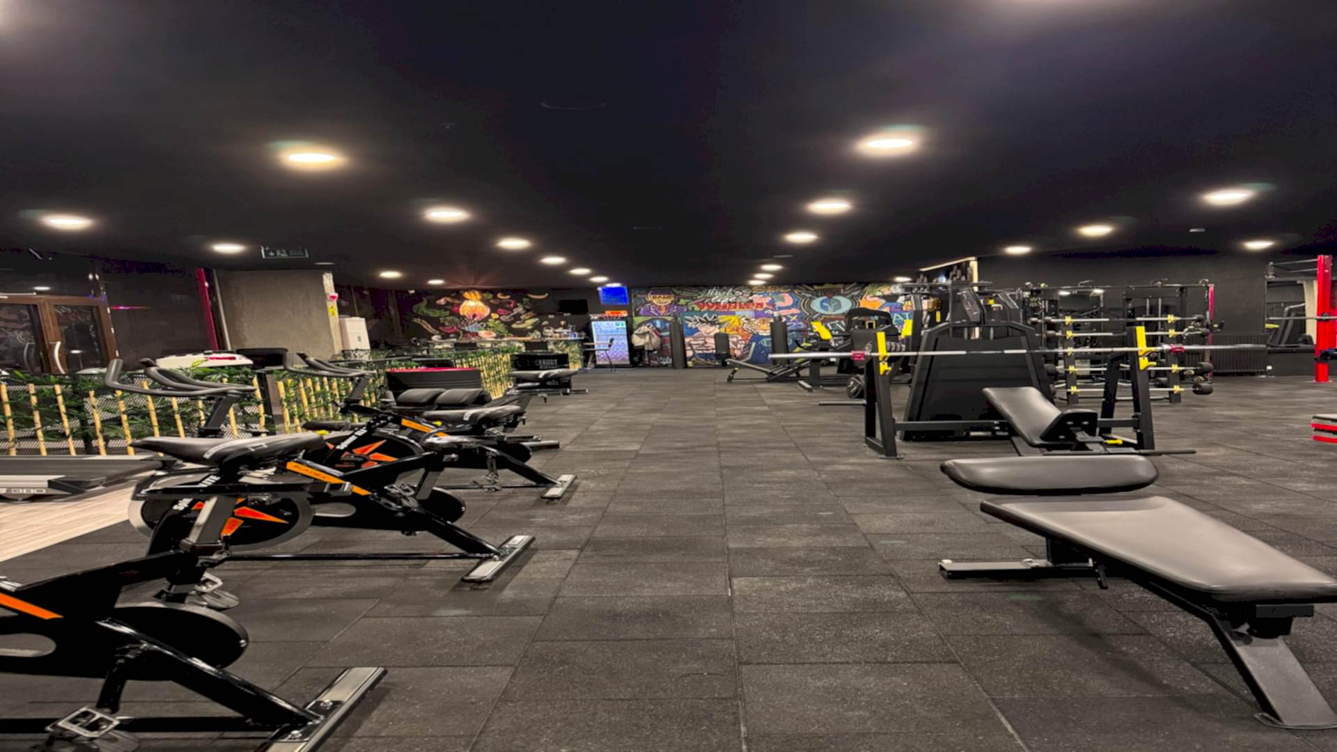 Arena Gym Salon 3