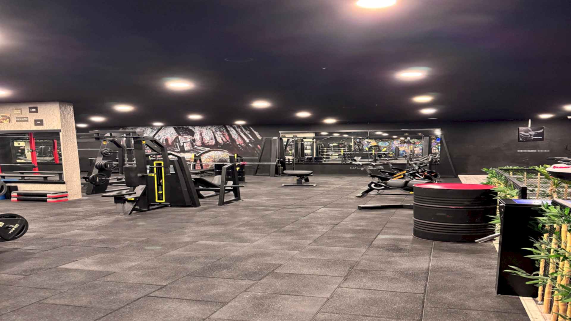 Arena Gym Salon 6