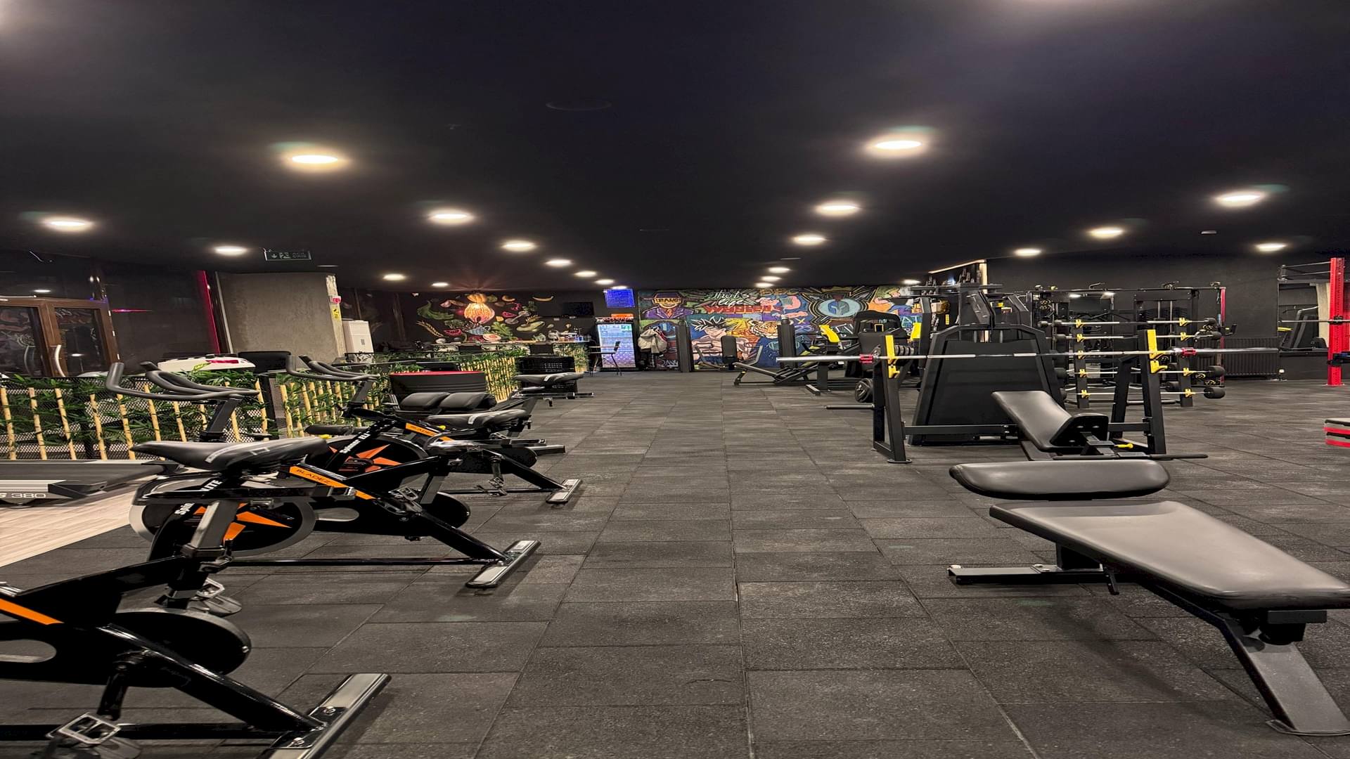 Arena Gym Salon 7